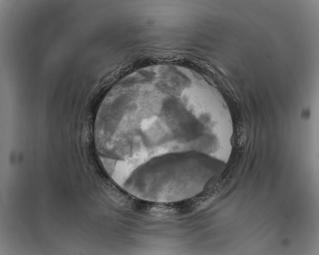 X0000094370515200711301451