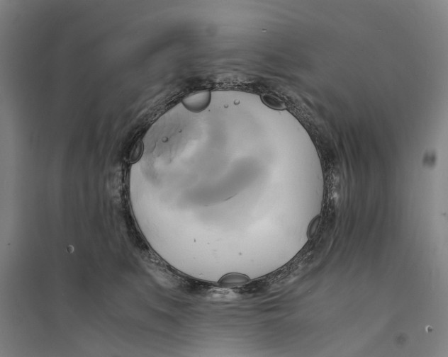 X0000094370519200711301451