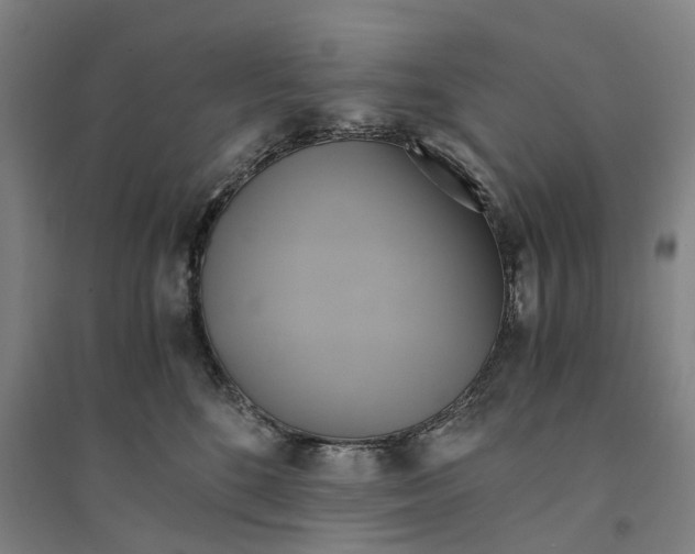 X0000094370520200711301451