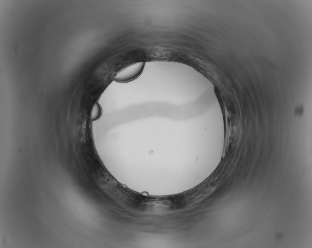 X0000094370525200711301451