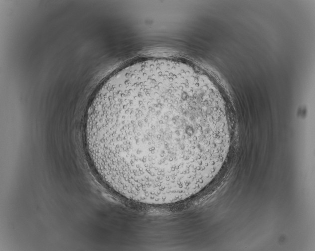 X0000094370529200711301450