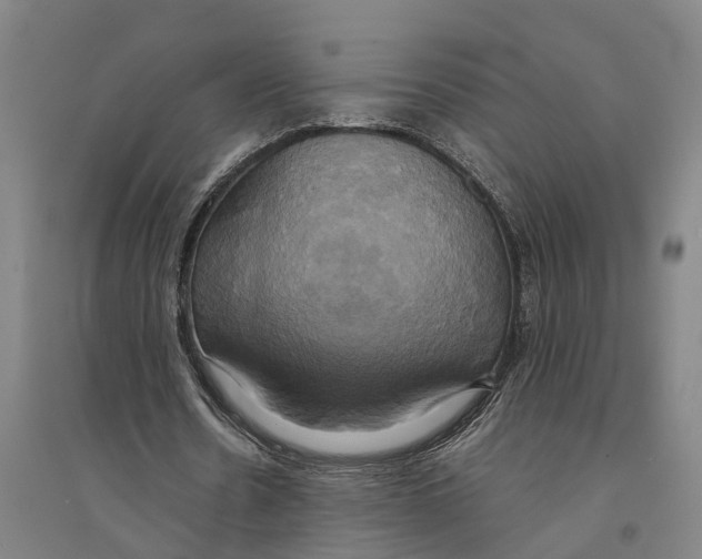 X0000094370530200711301450