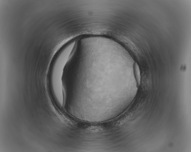 X0000094370536200711301450