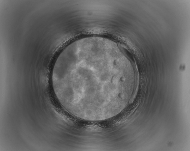 X0000094370544200711301451