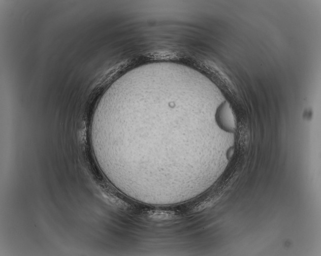 X0000094370549200711301451