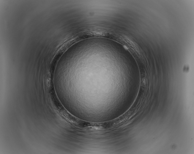 X0000094370552200711301451