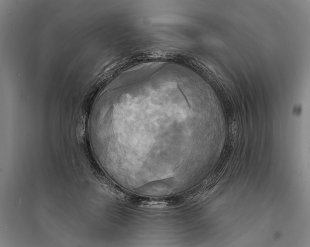 X0000094370554200711301451