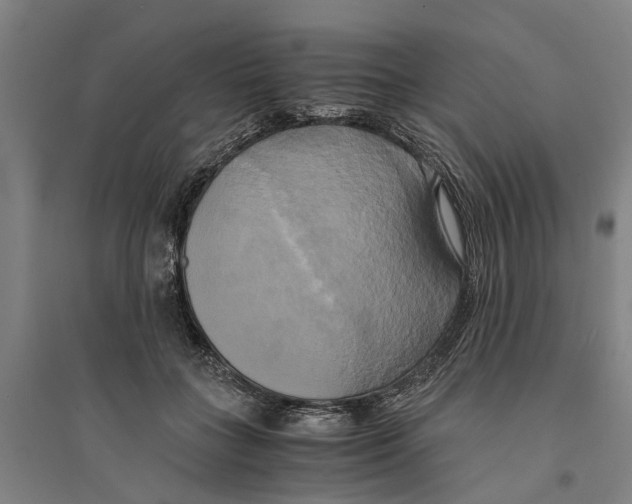 X0000094370555200711301451