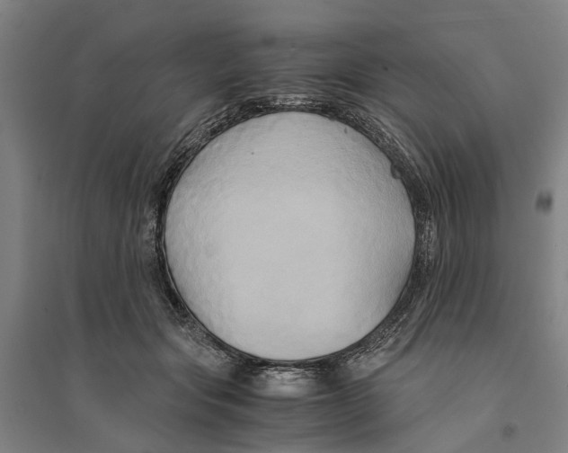 X0000094370557200711301451