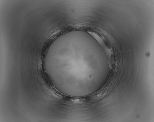 X0000094370558200711301451