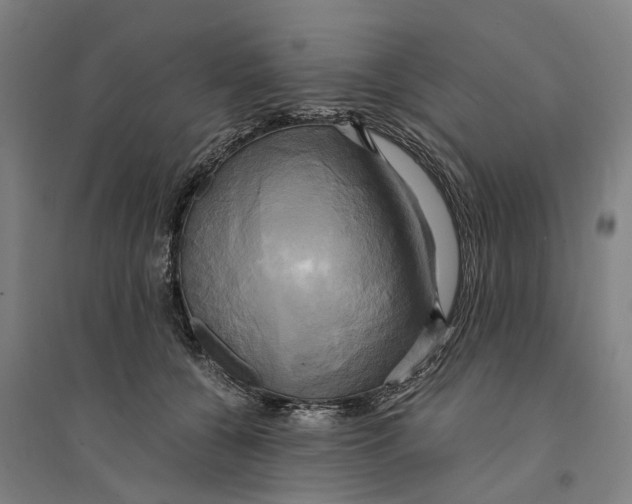 X0000094370560200711301451