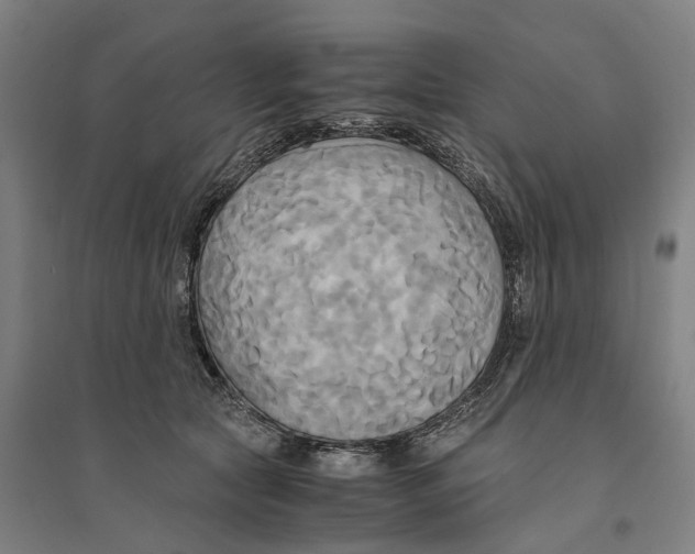 X0000094370561200711301451