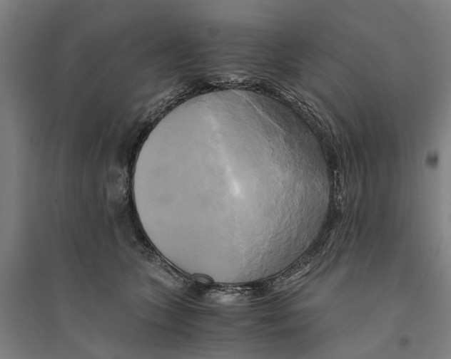 X0000094370563200711301451