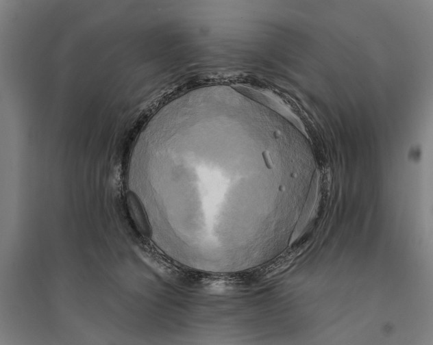 X0000094370564200711301451