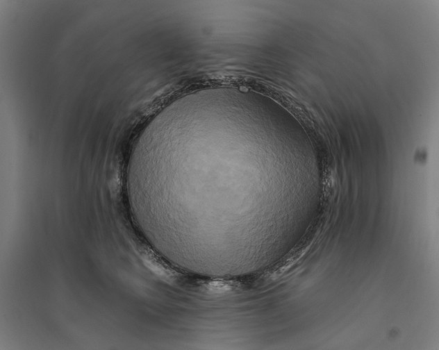 X0000094370566200711301451