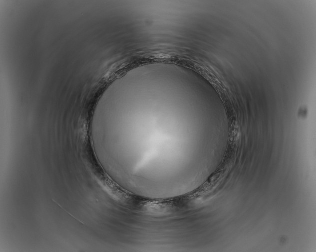 X0000094370568200711301451