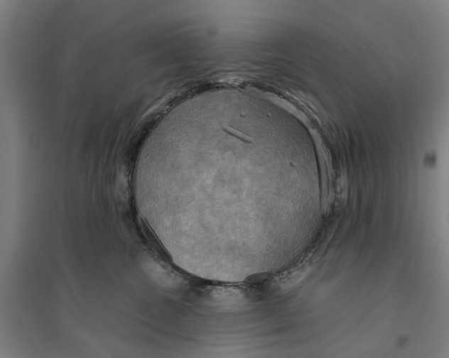 X0000094370572200711301451