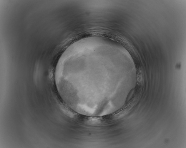 X0000094370573200711301451