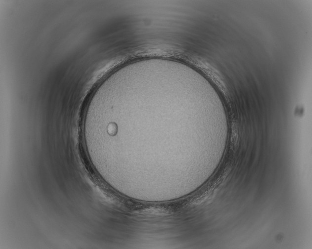 X0000094370578200711301450