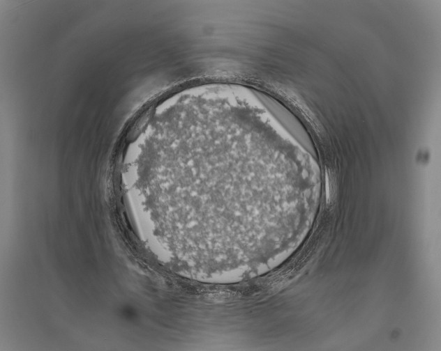 X0000094370579200711301450