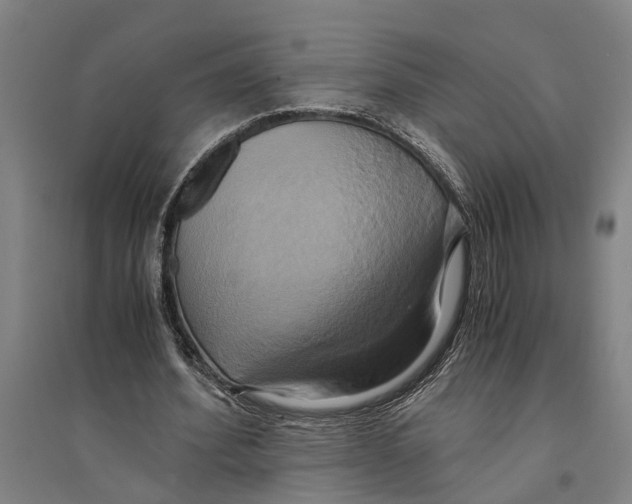 X0000094370580200711301450