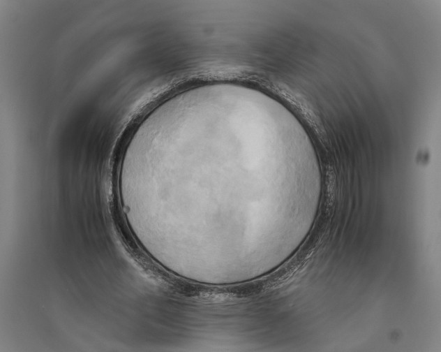 X0000094370582200711301450