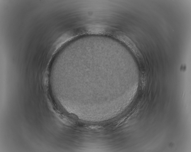 X0000094370583200711301450