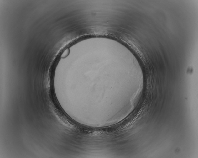 X0000094370584200711301450