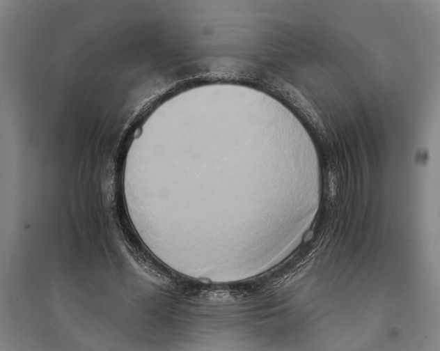 X0000094370588200711301450