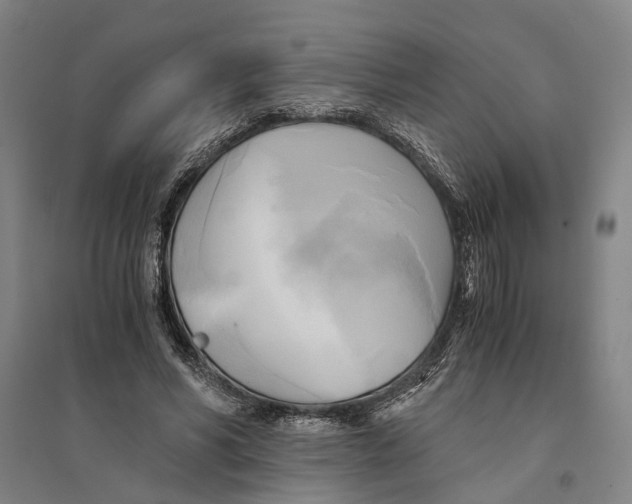 X0000094370590200711301450