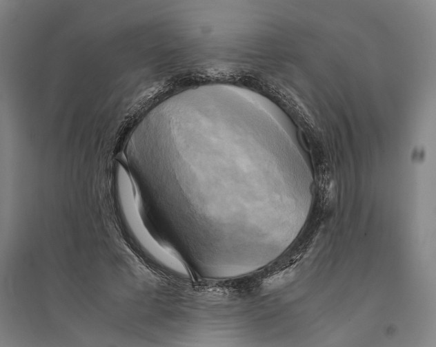 X0000094370593200711301450