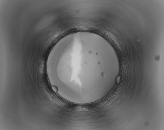 X0000094370596200711301450