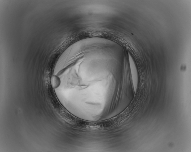 X0000094370598200711301450