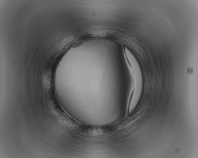 X0000094370600200711301450