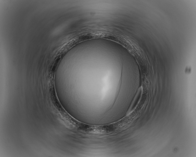 X0000094370601200711301450