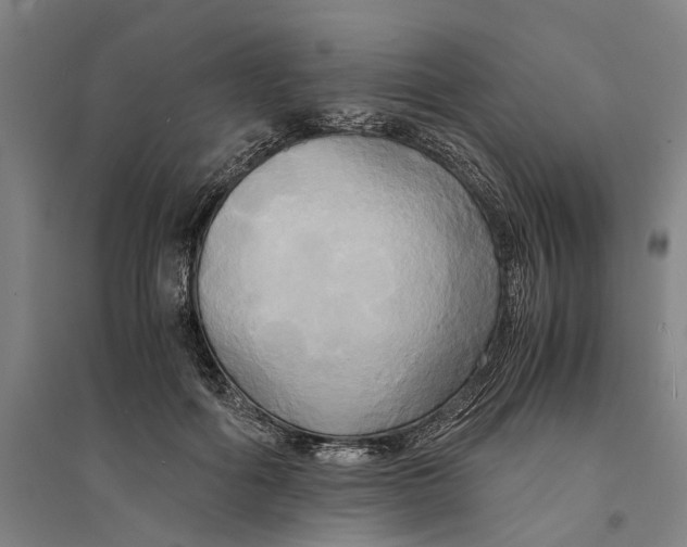 X0000094370602200711301450