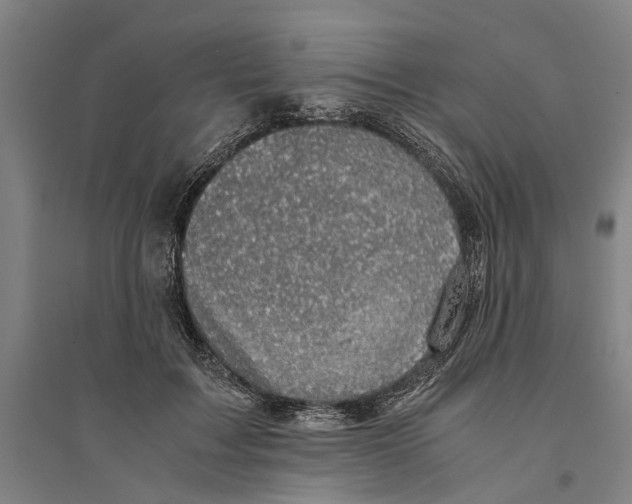 X0000094370603200711301450