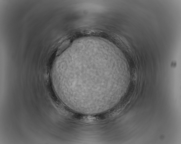 X0000094370607200711301450