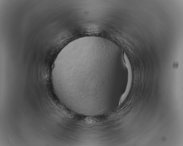 X0000094370608200711301450