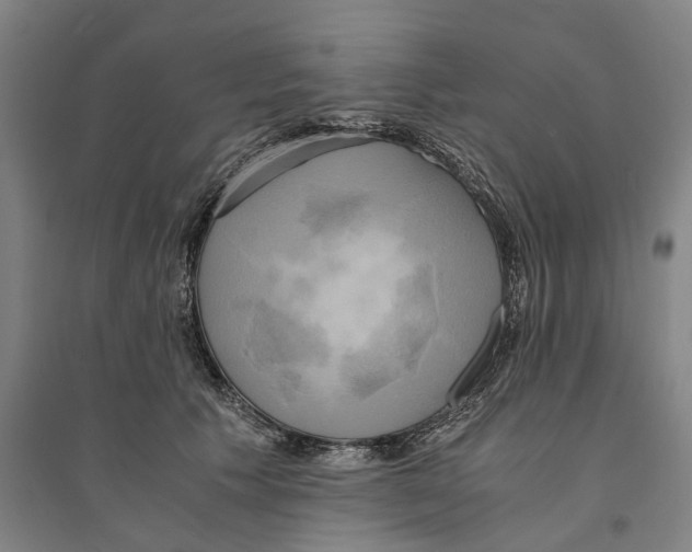 X0000094370609200711301450