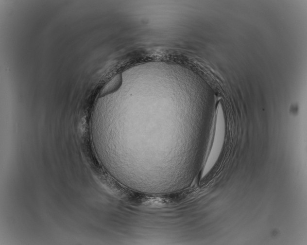 X0000094370611200711301450