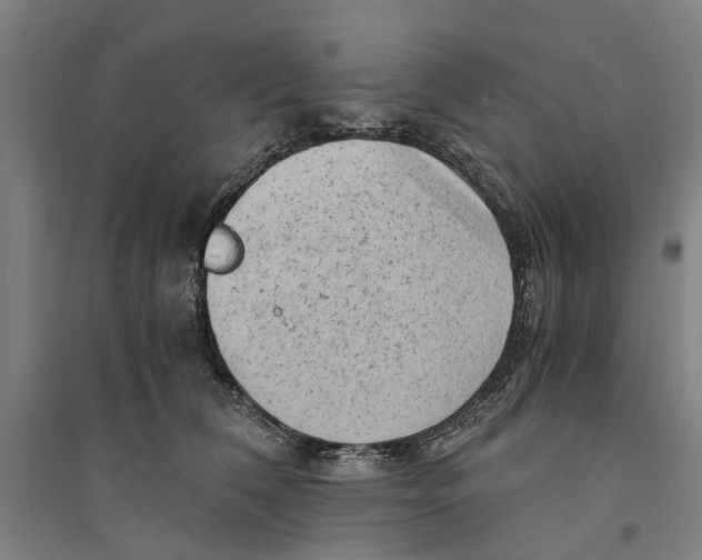 X0000094370612200711301450