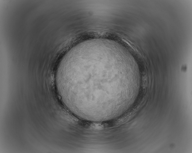 X0000094370613200711301450