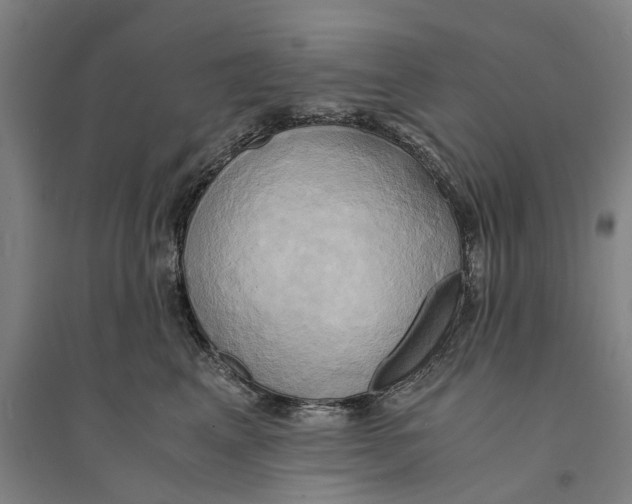 X0000094370617200711301450