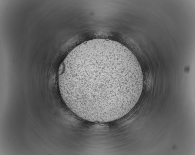 X0000094370619200711301450