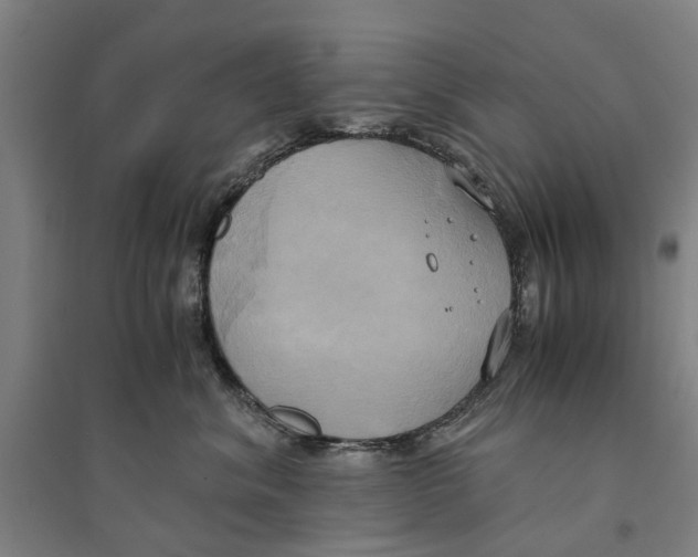 X0000094370620200711301450