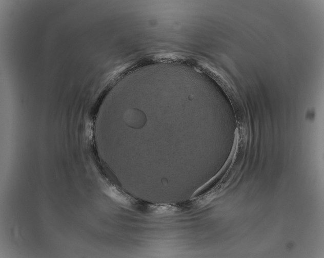 X0000094370621200711301450