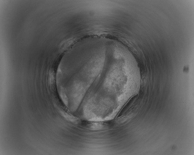 X0000094370623200711301450