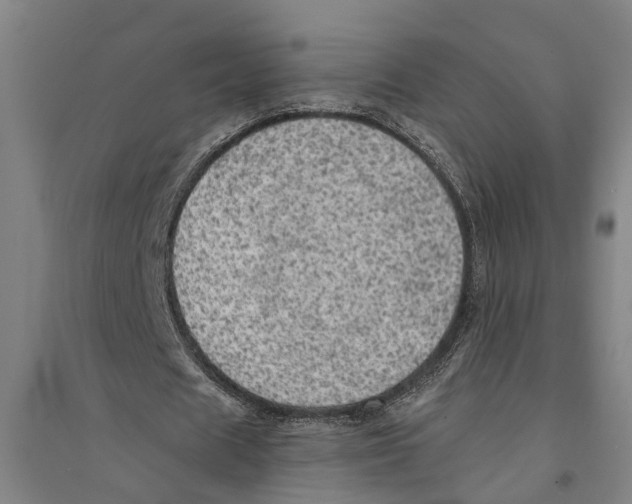 X0000094370625200711301449