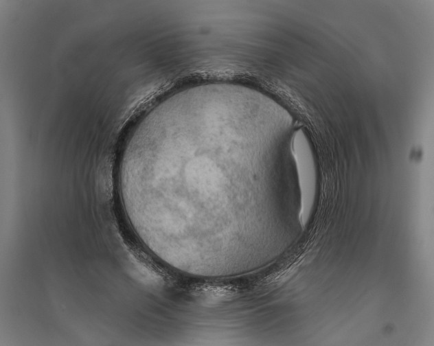 X0000094370638200711301449